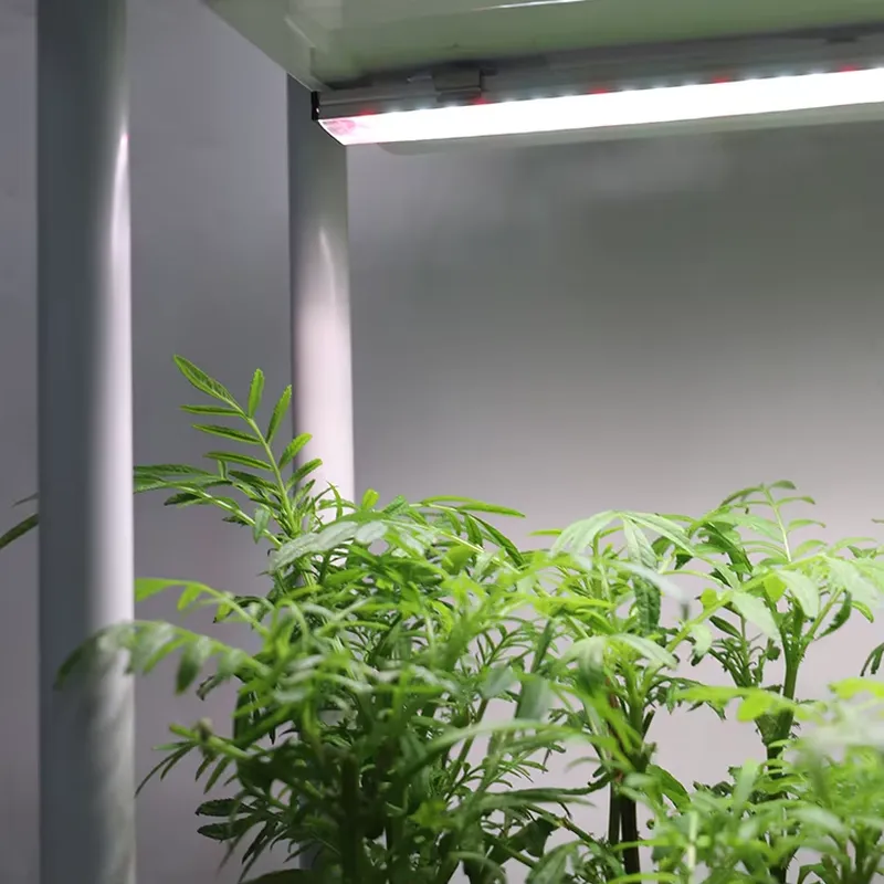 Self-Watering Planter - Hareketli Dikey 3 Katlı Kendi Kendine