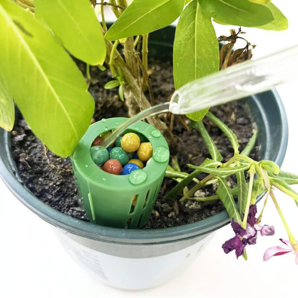 Bonsai Bitkileri İçin Gübre Ku - Gardening Tools Essential incelemesi ve fiyatı
