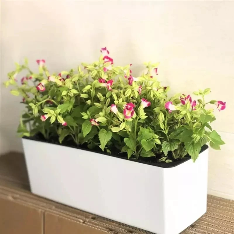 Dikdörtgen Tembel Saksı Saksı  - Automatic Plant Waterer incelemesi ve fiyatı