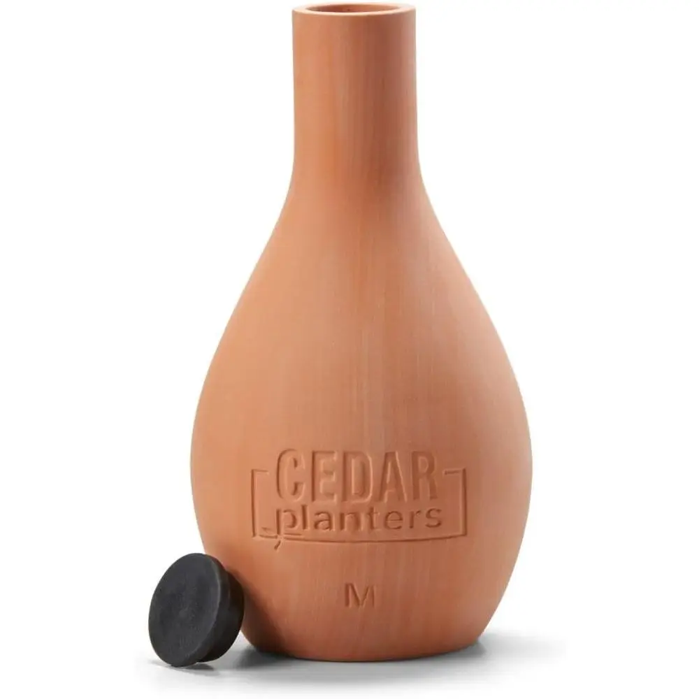 Kendiliğinden Sulanan Seramik  - Self-Watering Planter incelemesi ve fiyatı