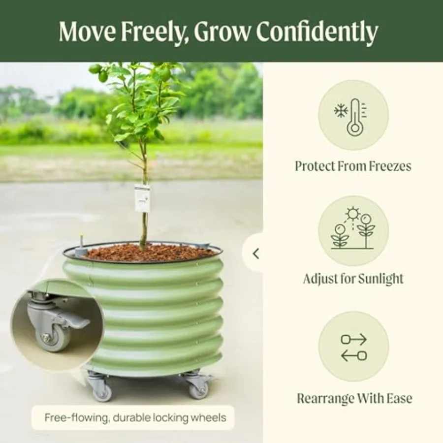 Gen 3 Model, Kendiliğinden Sul - Self-Watering Planter incelemesi ve fiyatı